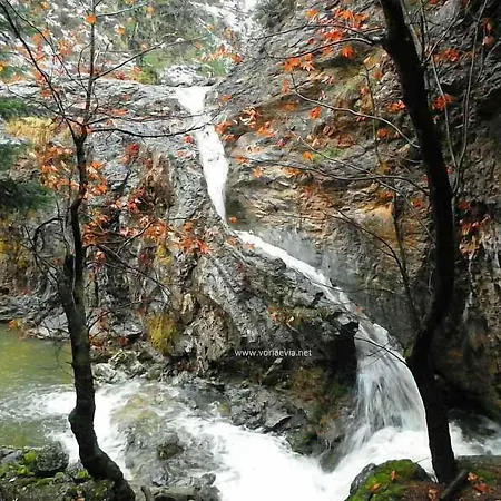 아파트호텔 Katerina 3*