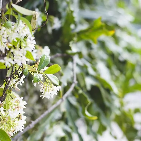 Hotel apartamentowy Katerina