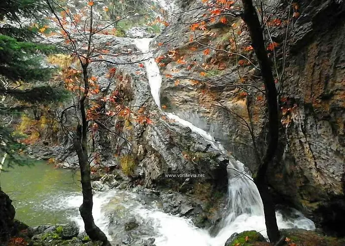 아파트호텔 Katerina 3*