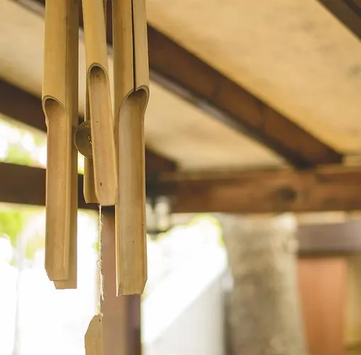 아파트호텔 Katerina 3*