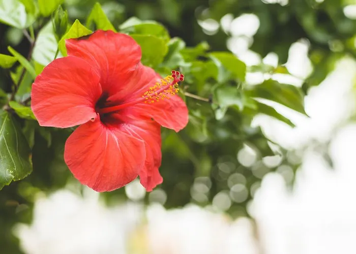 아파트호텔 Katerina